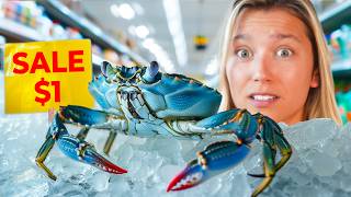 Raising a Grocery Store Crab as a Pet [upl. by Constanta]