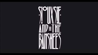 Siouxsie And The Banshees  Live in Paris 1979 Full Concert [upl. by Alban413]