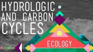 The Hydrologic and Carbon Cycles Always Recycle  Crash Course Ecology 8 [upl. by Nigrom]