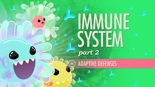 Immune System Part 2 Crash Course Anatomy amp Physiology 46 [upl. by Chrisman791]