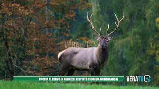 Caccia al cervo in Abruzzo respinto il ricorso degli ambientalisti [upl. by Jessika868]