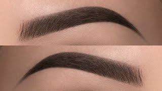 Easy Eyebrow Tutorial For Beginners Using Pencil amp Eyeshadow  Best Eyebrow Pencil [upl. by Rayburn613]