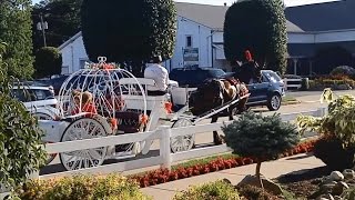 Northern Indiana Amish Country Shipshewana [upl. by Nilyarg]