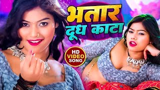 video  शिल्पी राज के हिट गाने  Jukebox  Shilpi Raj  Bhojpuri Dj Song  video [upl. by Padegs]