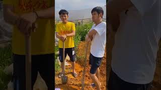 2 Brothers Fails 137 🎬More watch 😀More laugh and 😝Funny [upl. by Phillida]