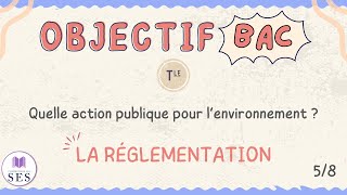 BAC Cours Environnement  La réglementation [upl. by Enitram783]