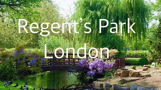 Regents Park An Urban Oasis of Design Nature and Culture [upl. by Kered]