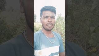 Goli thok Dev dulha kapaartrending youtubeshorts viralvideos shorts [upl. by Reteid675]