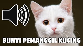 SUARA KUCING MEMANGGIL  BUNYI PEMANGGIL KUCING [upl. by Aleusnoc558]