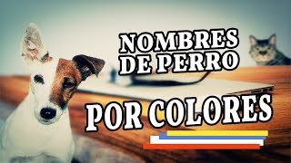 NOMBRES DE PERRO POR COLORES [upl. by Wilde]