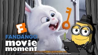 Brian the Minion watches The Secret Life of Pets  Fandango Movie Moment 2016 [upl. by Zizaludba]