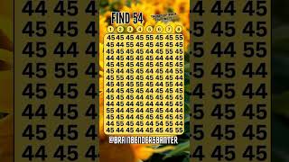 Only 1 Can Find The Secret 54 In This Puzzle shorts [upl. by Hayotal415]