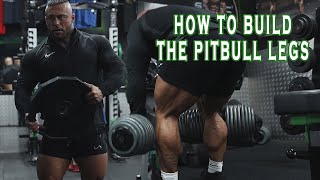 The Pitbull Way HAMSTRINGS IT WENT OFF [upl. by Carmon]