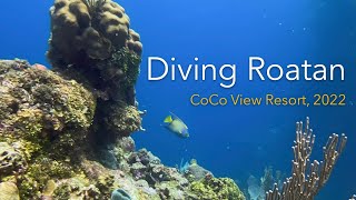 Diving Roatan 2022 [upl. by Uda]