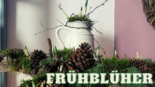 DIY Frühlingsdeko mit Schneeglöckchen amp Krokussen  Frühblüher auf der Wurzel und in der Kanne [upl. by Aryt]