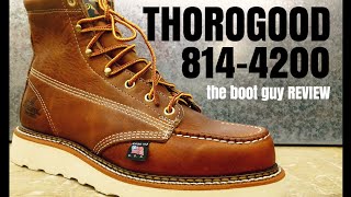 Thorogood 8144200 The Boot Guy Review [upl. by Eziechiele817]