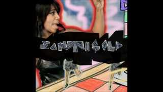 Santigold  Disparate Youth 2 Bears Remix [upl. by Wildon846]