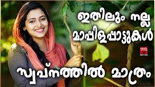 Malayalam Mappila Songs  Old Mappilappattukal  Mappilapattukal  Mappila Pattukal Malayalam [upl. by Esiouqrut542]