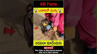 😲ఎడారిలో మొక్క😲 Reforestation desert project telugufacts plants shorts youtubeshorts abfacts [upl. by Sherborn]