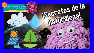 ¿Sabes Qué es un Recurso Natural  Curiosidades [upl. by Ybbil207]