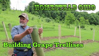 Building Grape Trellises  Sturdy supports for grape vines [upl. by Evaleen]