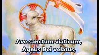 Ave Sanctum Viaticum  Traditional Catholic Latin Hymn [upl. by Crooks]