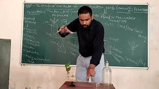 Practical Demonstration  measurement of transpiration by using Ganong Potometer  by Arvind Beniwal [upl. by Riem]