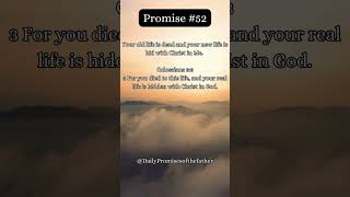 Promise 52 [upl. by Belita]