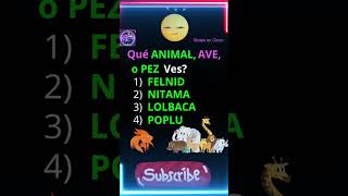 🐩 Anagramas de animales 🦁 [upl. by Anavlys563]