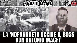 La Ndrangheta calabrese uccide il boss Don Antonio Macrì Intervista inedita ad un testimone [upl. by Ihsorih]