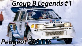 Group B Legends 1 Peugeot 205 Turbo 16T16 Evo 2 [upl. by Eznyl]