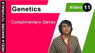 Genetics  Principles of Inheritance amp Variations  NEET  Complimentary Genes  Neela Bakore [upl. by Rosse]