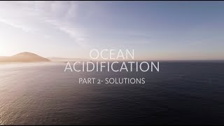 Ocean Acidification  Part 2 Solutions [upl. by Amandy163]