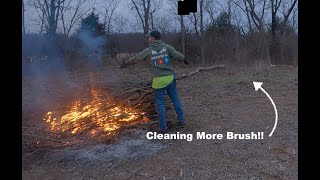 More Progress on Brush Clearing [upl. by Anitnerolf172]