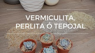 Vermiculita Perlita o Tepojal Para que sirven y como los utilizo [upl. by Tay187]