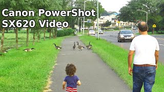 Canon PowerShot SX620 HS Camera 25x Optical Zoom 1080p HD Video Test Footage Review 📸 [upl. by Andeee]