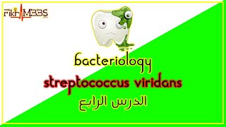 الدرس الرابع Streptococcus viridians [upl. by Aihsar]