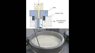 Homogenisation kya hota hai 🧐🤫😊💯❤️homogenisation milk fat breakdown food foodtechwithpoonam [upl. by Hollyanne572]