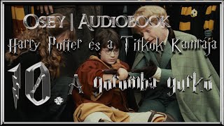 Harry Potter és a Titkok Kamrája hangoskönyv  10 fejezet [upl. by Neelyar]