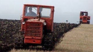 Tractors T4A and DF75D plowing  Тракторы Т4А и ДТ75Д вспашка зяби [upl. by Alfredo]