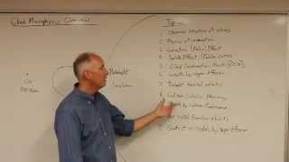 Lecture13 Cloud Microphysics Overview [upl. by Eluk]