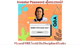 ▪️MT4MT5 account တွေမှာ Investor Password ဆိုတာဘာလဲ Query MyoEainZan Episode2 [upl. by Voorhis713]