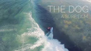 The Dog  Culburra Beach Boardriders [upl. by Tace]