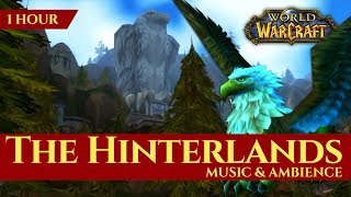 The Hinterlands  Music amp Ambience 1 hour 4K World of Warcraft Vanilla [upl. by Epoillac687]