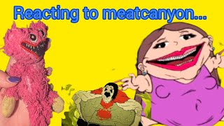 Reacting to meatcanyon [upl. by Seldan492]