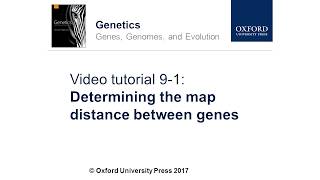 Determining the Map Distance Between Genes [upl. by Stewart]