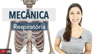 Sistema Respiratório 56 Mecânica Respiratória Músculos Acessórios e Hematose  Anatomia e etc [upl. by Eiramlatsyrk907]