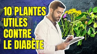 Plantes Pour Le Diabète Top 10 [upl. by Zeralda]