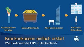 Krankenkasse einfach erklärt  so funktioniert die GKV in Deutschland [upl. by Kreager517]