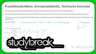 Produktionsfunktion Grenzproduktivität Technische Grenzrate  Volkswirtschaftslehre [upl. by Yenterb875]